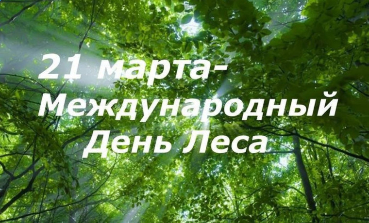 Международный день леса.